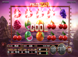 fruit zen 4