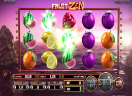 fruit zen 6