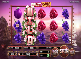 fruit zen 7