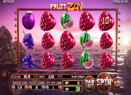 fruit zen 8