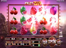 fruit zen 9