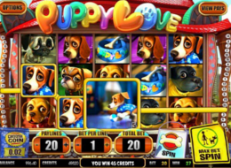 puppy love 10