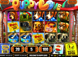 puppy love 6