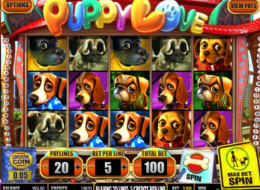 puppy love 8