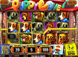 puppy love 9