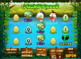 duckseggs 10