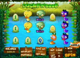 duckseggs 3