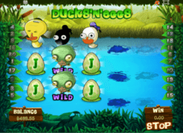duckseggs 4