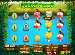 duckseggs 5