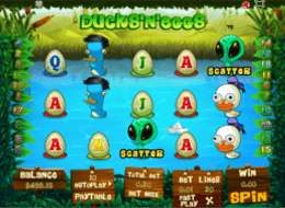 duckseggs 6