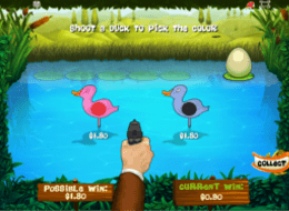 duckseggs 8
