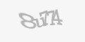 Security codmments-form-captcha-image