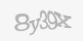 Security codmments-form-captcha-image